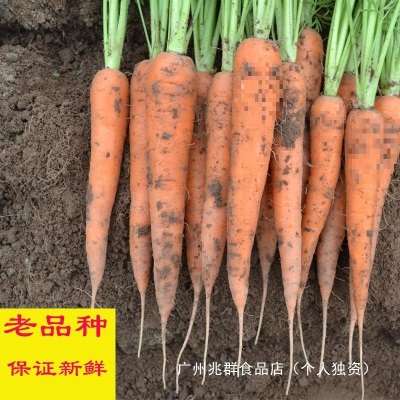 老品种新鲜胡萝卜带泥红萝卜农家宝宝水果蔬菜非转基因拍一单五斤