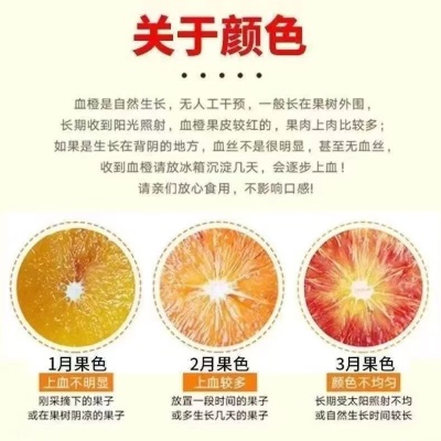 正宗四川塔罗科血橙玫瑰血橙红橙子血丝新鲜水果红心果冻橙10斤整