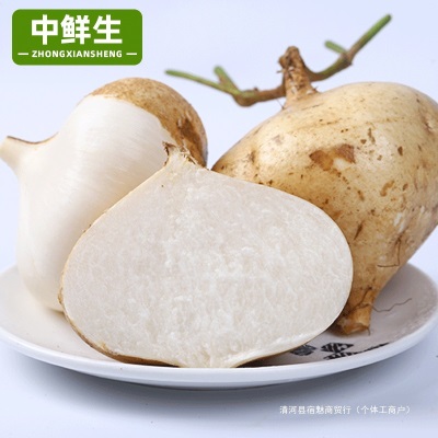 凉薯新鲜云南白心地瓜萝卜水果沙葛土番薯农家特产9斤即食大果