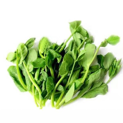 顺丰包邮现摘四川新鲜豌豆尖豌豆苗时令蔬菜应季蔬菜煮汤火锅食材