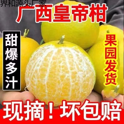 广柑斤新鲜水果贡柑斤柑橘薄皮批发橘子桔子