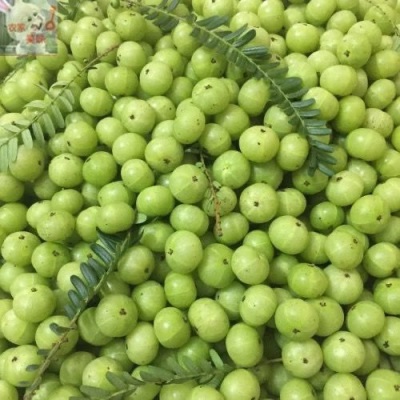新鲜采摘青油甘果余甘果牛甘果滇橄榄果油柑酸水果余甘子榨汁