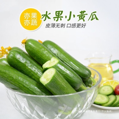 黄瓜新鲜小黄瓜水果小青瓜荷兰蔬菜农家10山东旱生吃5斤现摘现发