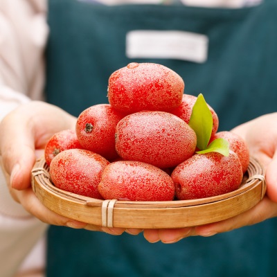 云南新鲜羊奶果大果热带时令孕妇水果稀有牛奶果新鲜摘纯甜口现货