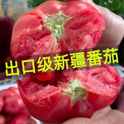 新疆普罗旺斯西红柿沙瓤番茄5斤水果新疆自然熟新疆直发空运批发
