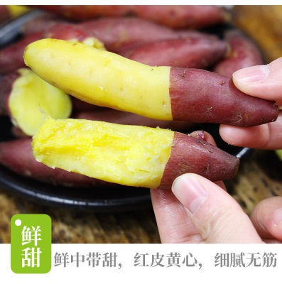 临安天目山小香薯正宗板栗红薯新鲜香甜农家小番薯地瓜蜜薯旗舰店