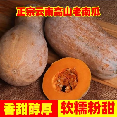 云南老南瓜农家自种当季新鲜粉面甜糯小宝宝辅食整箱蒸煮密本南瓜