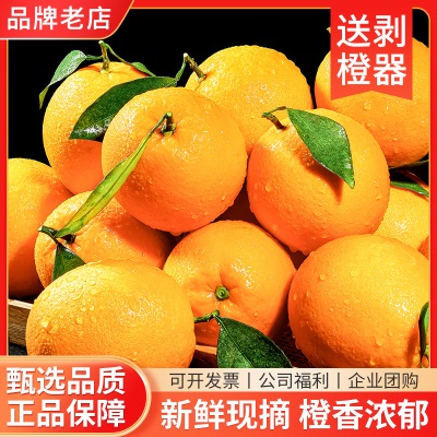 【顺丰包邮】江西赣南脐橙当季新鲜水果正宗赣州橙子批发产地直发