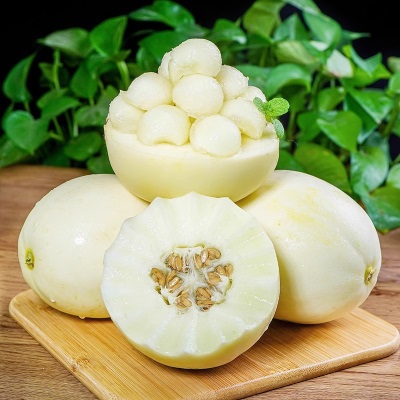 陕西阎良甜瓜新鲜水果当季现摘脆甜蜜瓜白瓜羊角香瓜产地一件代发