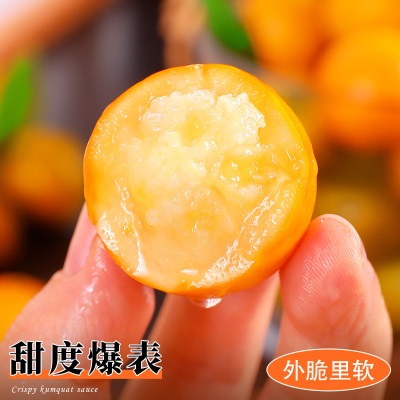 融安脆皮金桔5斤广西小橘子蜜金柑新鲜纯甜当季水果整箱礼盒