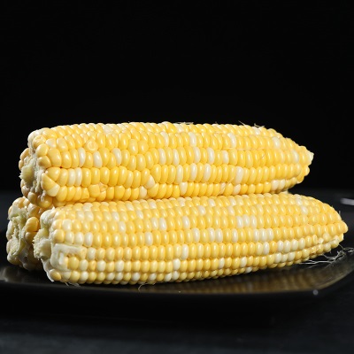 云南金银水果玉米新鲜生吃甜玉米棒子粒粘糯黏苞谷米一件代发