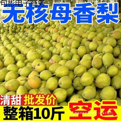 包邮香梨新鲜应季水果梨子水果批发整箱斤查看详情支持