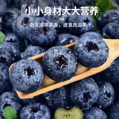 蓝莓鲜果云南花香蓝莓新鲜水果12盒特大果高山怡颗甜莓整箱顺丰