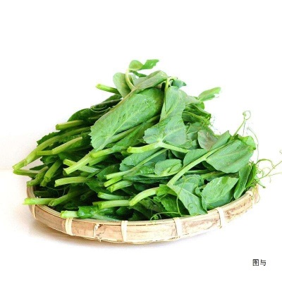 顺丰包邮现摘四川新鲜豌豆尖豌豆苗时令蔬菜应季蔬菜煮汤火锅食材