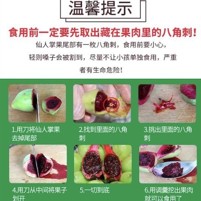 海南仙人掌热带水果果实 整箱南方野生果应当季罕见热带水果食用