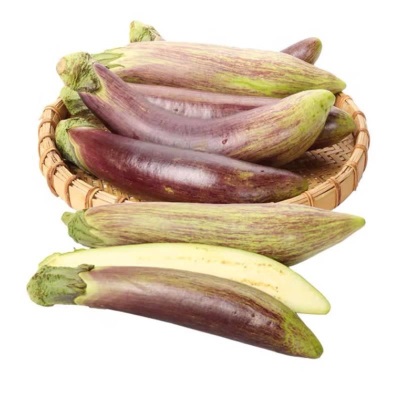 云南冰川茄子新鲜糯茄子脆皮茄子面包茄子新鲜蔬菜酒店烧烤食包邮