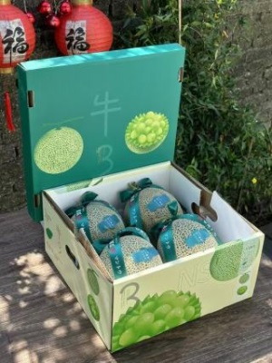 海南玲珑网纹蜜瓜冰淇淋口感哈密瓜静冈蜜瓜香甜水果礼盒包邮直发