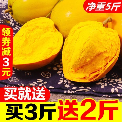 海南鸡蛋果蛋黄果5斤当季热带水果新鲜应季整箱批发产熟果1-3斤