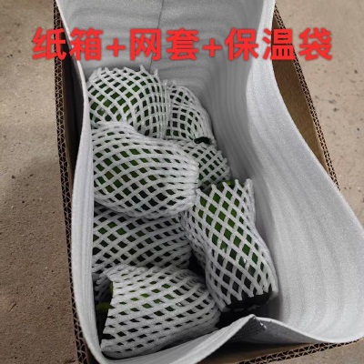 新鲜青椒圆椒甜椒不辣灯笼椒（发货后不退，破损丢件可补发）