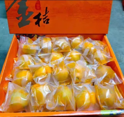 融安脆皮金桔5斤广西小橘子蜜金柑新鲜纯甜当季水果整箱礼盒