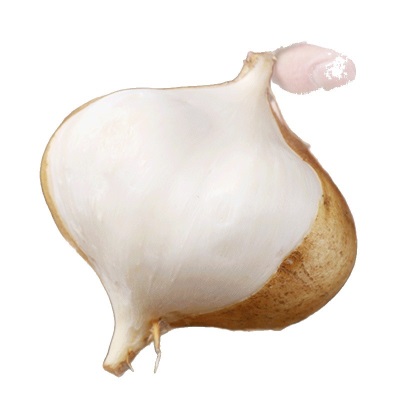 凉薯新鲜云南白心地瓜萝卜水果沙葛土番薯农家特产9斤即食大果