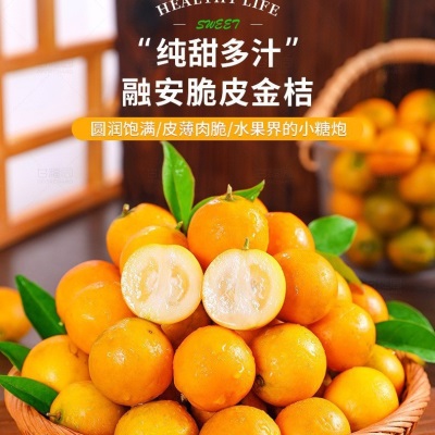 融安脆皮金桔5斤广西小橘子蜜金柑新鲜纯甜当季水果整箱礼盒