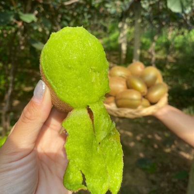 绿心猕猴桃徐香奇异果大果水果应季礼盒装整箱包邮直发国产多汁