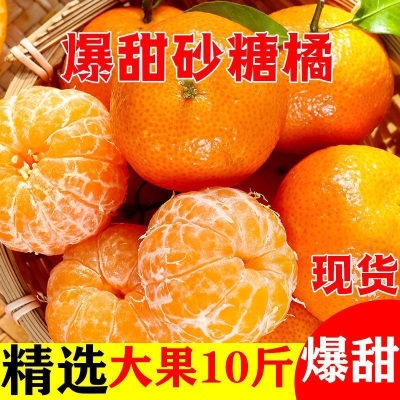 砂糖橘广西金秋薄皮当季新鲜孕妇水果整箱批发包邮独立站速卖通
