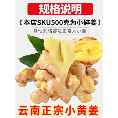 云南小黄姜生姜新鲜罗平小黄姜月子姜老姜山地土姜沙姜蔬菜