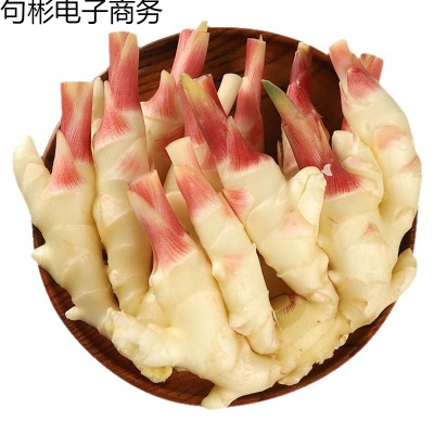 新鲜嫩姜生姜鲜姜仔姜子姜新鲜现挖姜芽糖醋姜泡姜蔬菜非小黄姜