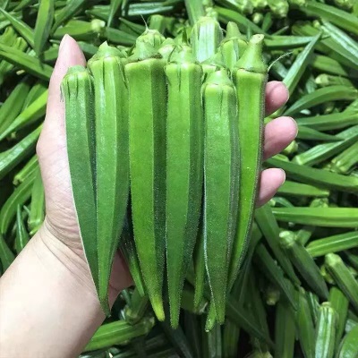 【新鲜秋葵5-1斤黄秋葵泡沫箱加冰】可炒黄秋葵鲜嫩 新鲜蔬菜批发
