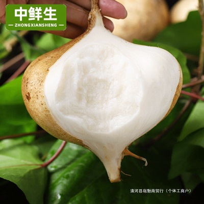 凉薯新鲜云南白心地瓜萝卜水果沙葛土番薯农家特产9斤即食大果