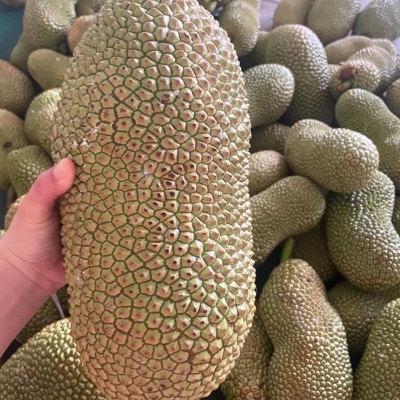 海南三亚榴莲蜜新鲜热带水果特产软糯香甜湿苞巴掌小榴莲整个菠萝