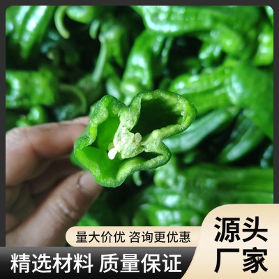 送礼农家自种新鲜薄皮青椒辣椒时令蔬菜现摘皱皮虎皮青椒微辣
