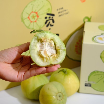 【顺丰京东】山东马连庄甜瓜头茬甜瓜香甜多汁现摘现发整箱3.5斤