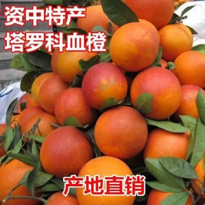 正宗四川塔罗科血橙玫瑰血橙红橙子血丝新鲜水果红心果冻橙10斤整
