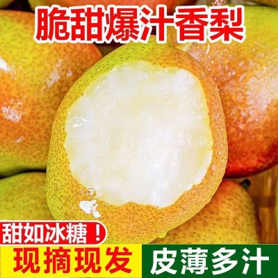 新疆库尔勒香梨香梨源自新疆新鲜水果梨子3/5/10斤脆甜青皮薄