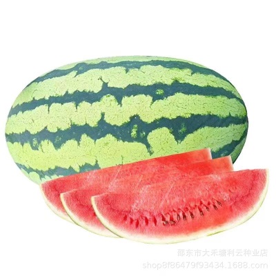 高产西农八号西瓜种子特大懒汉王西瓜种子超甜四季田园西瓜种子