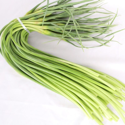 5斤包邮现摘现发蒜苔新鲜蒜薹鲜蒜苔山东嫩蒜苔新鲜蔬菜批发