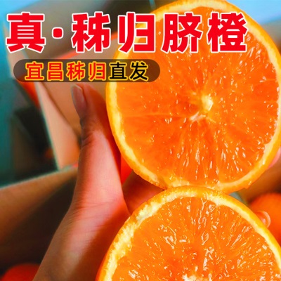 伦晚脐橙3/5/9斤装榨汁新鲜水果秭归脐橙橙子产地直供伦晚春