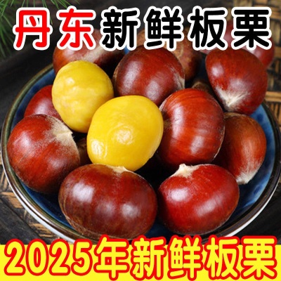 丹东板栗生新鲜5斤栗子当季油栗去刺壳板栗蔬菜现摘整箱包邮