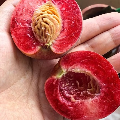 血桃稀有新鲜水果红肉桃子湖北毛桃现摘整箱当季孕妇脆桃非水蜜桃