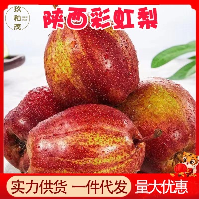 正宗陕西彩虹梨9斤整箱当季新鲜水果薄皮梨子10批发包邮5斤红皮梨