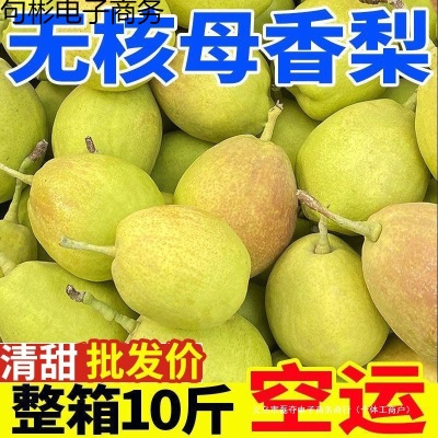 包邮香梨新鲜应季水果梨子水果批发整箱斤查看详情支持