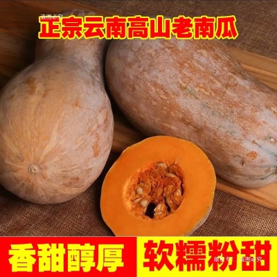 云南老南瓜农家自种当季新鲜粉面甜糯小宝宝辅食整箱蒸煮密本南瓜