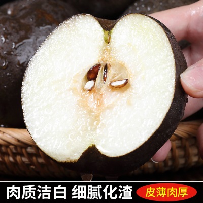 高原大黑梨藏乌梨新鲜梨子当季四川高山脆甜黑皮梨子孕妇水果整箱