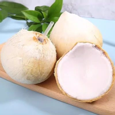 海南牛奶椰皇水果新鲜椰青当季现摘椰白孕妇补羊水小奶椰子蛋整箱