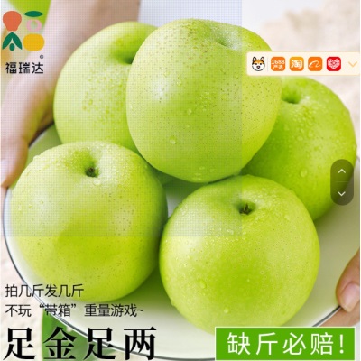 梨都砀山梨子正宗翠冠梨当季水果新鲜9斤皮青梨皇酥梨整箱应香梨