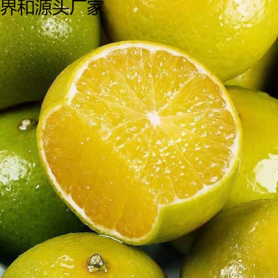 广柑斤新鲜水果贡柑斤柑橘薄皮批发橘子桔子