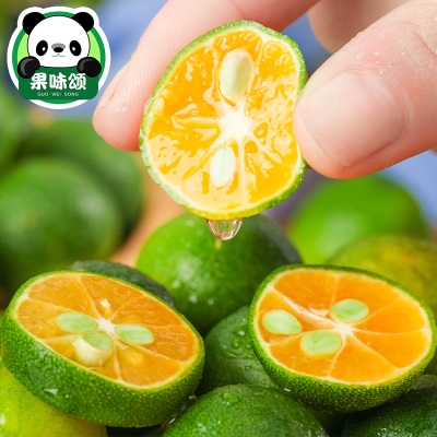 海南小金桔10斤新鲜水果当应季青金桔柠檬百香整箱包邮小青柠青桔